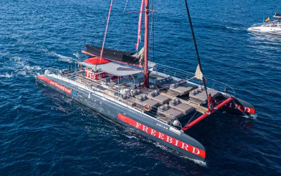 Avistamiento de ballenas en catamarán Freebird