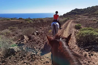 Rutas a caballo en Tenerife