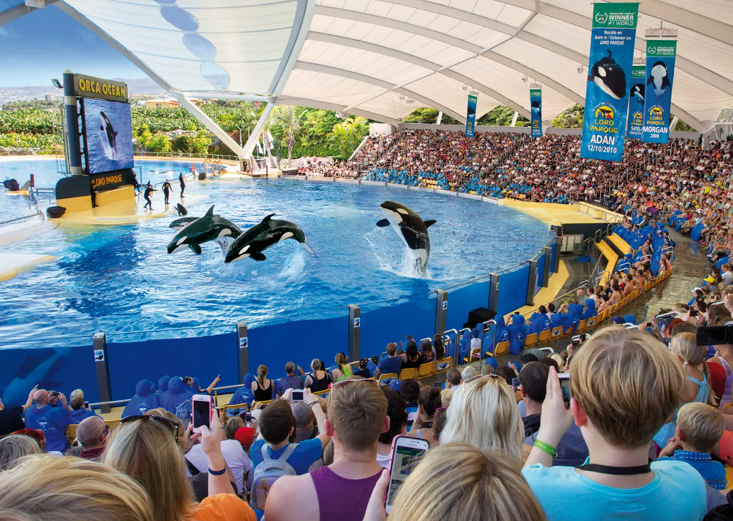 Loro Parque Tenerife