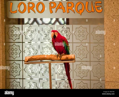 Loro Parque Tenerife