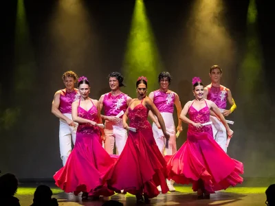 Espectáculo Flamenco Olé