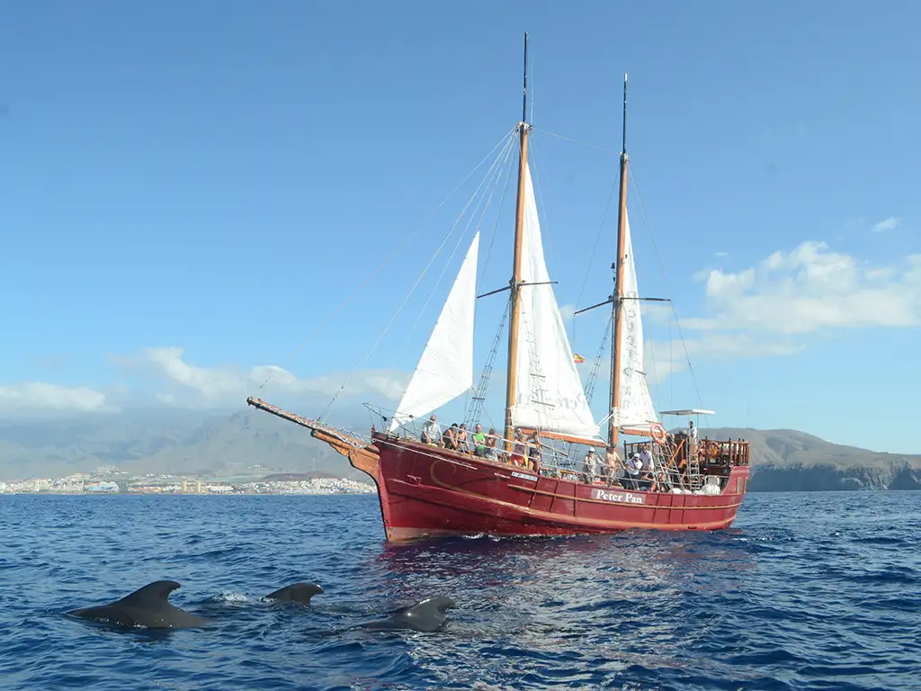 Barco Pirata Peter Pan