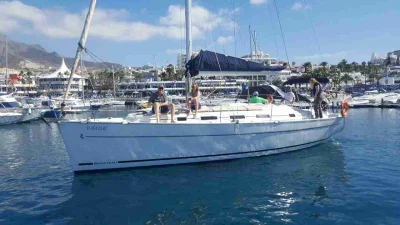 Navegación en Sea Quest y avistamiento de ballenas