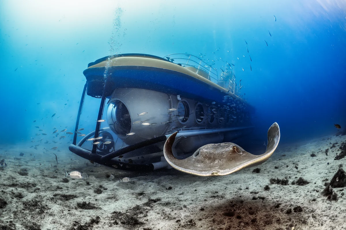 Buceo submarino en Tenerife en Amarilla Marina