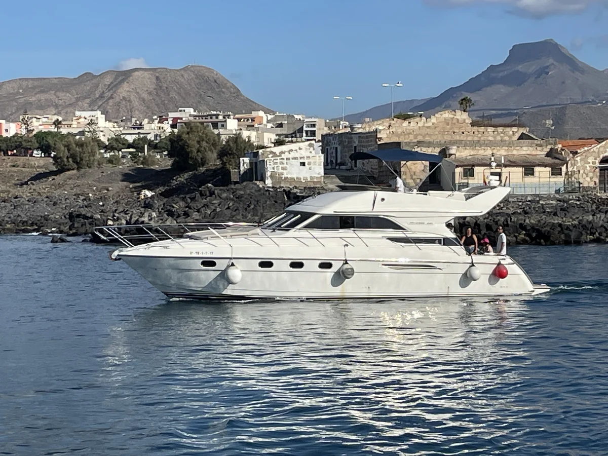 Whale and dolphin watching excursion (3 hours)